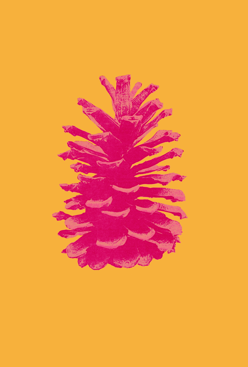 pinecone-color-04-b-poster-810×1200